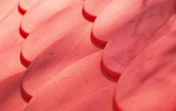 Blackfield plastic roof costs