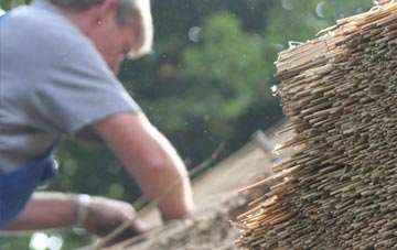 professional Blackfield thatchers