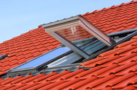 Blackfield roof window